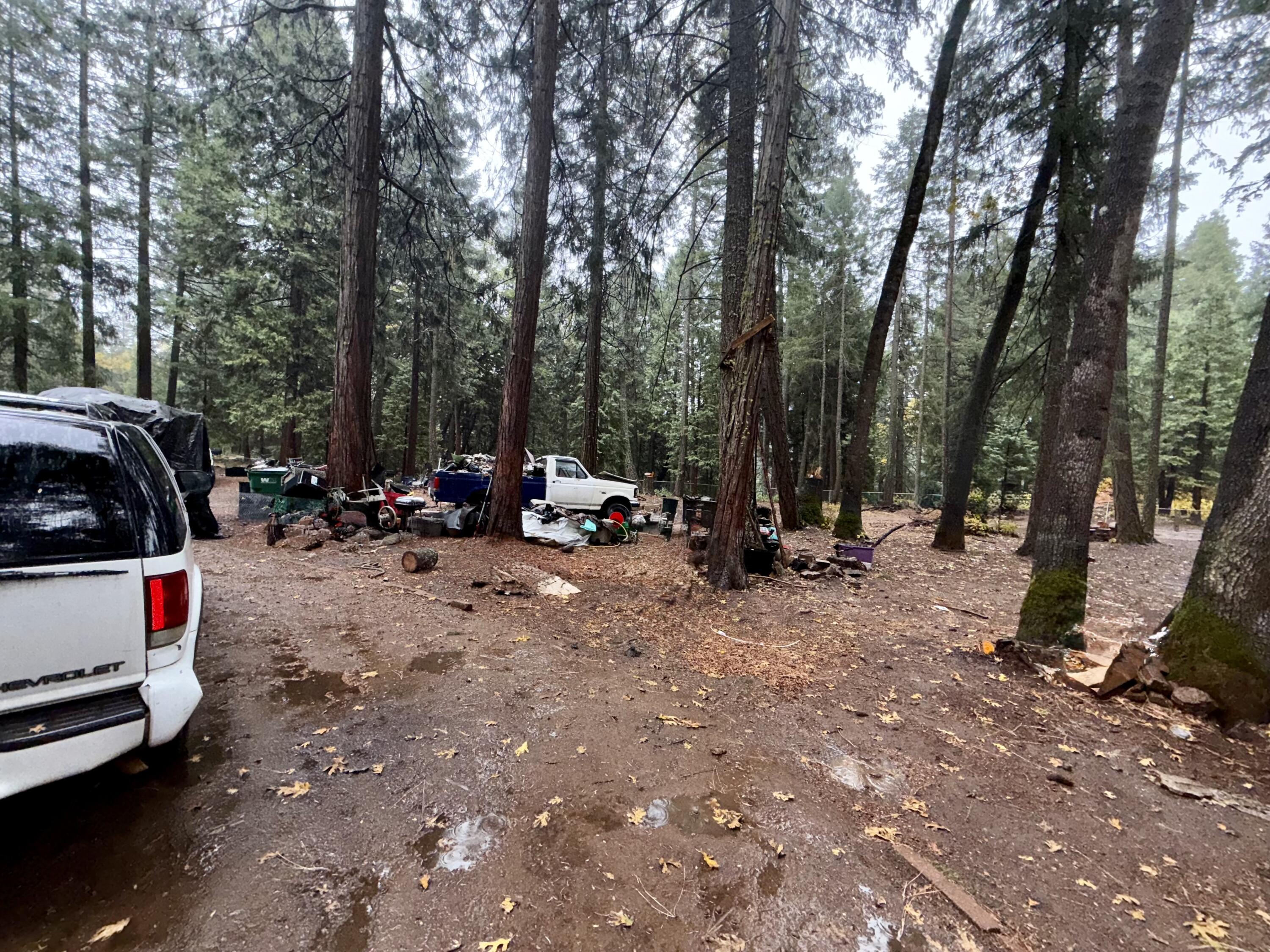 33368 Geta Way Shingletown, CA 96088 - Photo 5 of 20 a view of outdoor space with lots of swings and slides