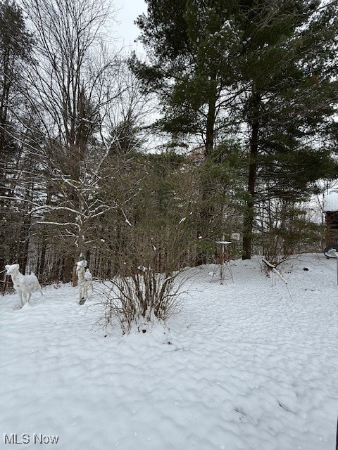 15639 Grove Road Southwest Port Washington, OH 43837 - Photo 6 of 31 View of yard layered in snow