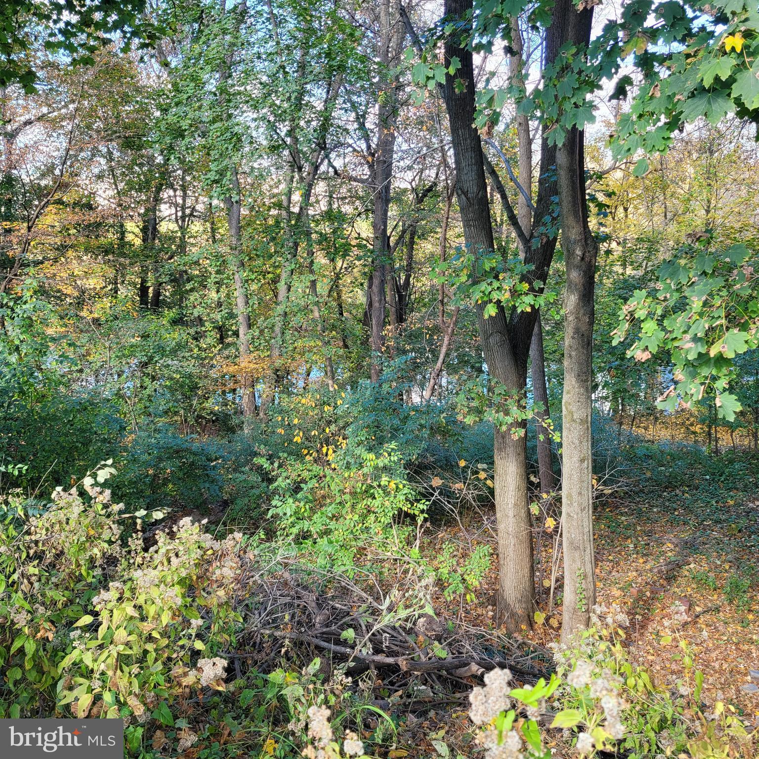 31 Berkley Park Road Reading, PA 19605 - Photo 26 of 29 back below and behind yard