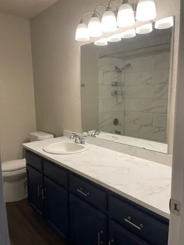 a bathroom with a sink a toilet and shower