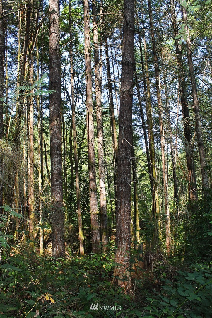 12921 Hummingbird Lane Southwest Port Orchard, WA 98367 - Photo 10 of 12 Gallery Image 10