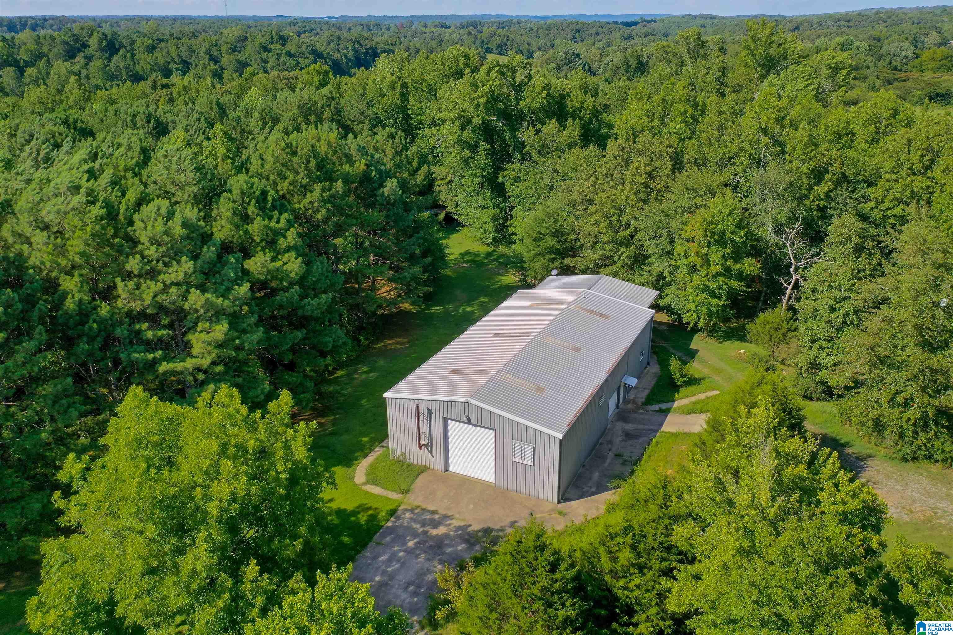1031 Reneau Road Oneonta, AL 35121 - Photo 46 of 50