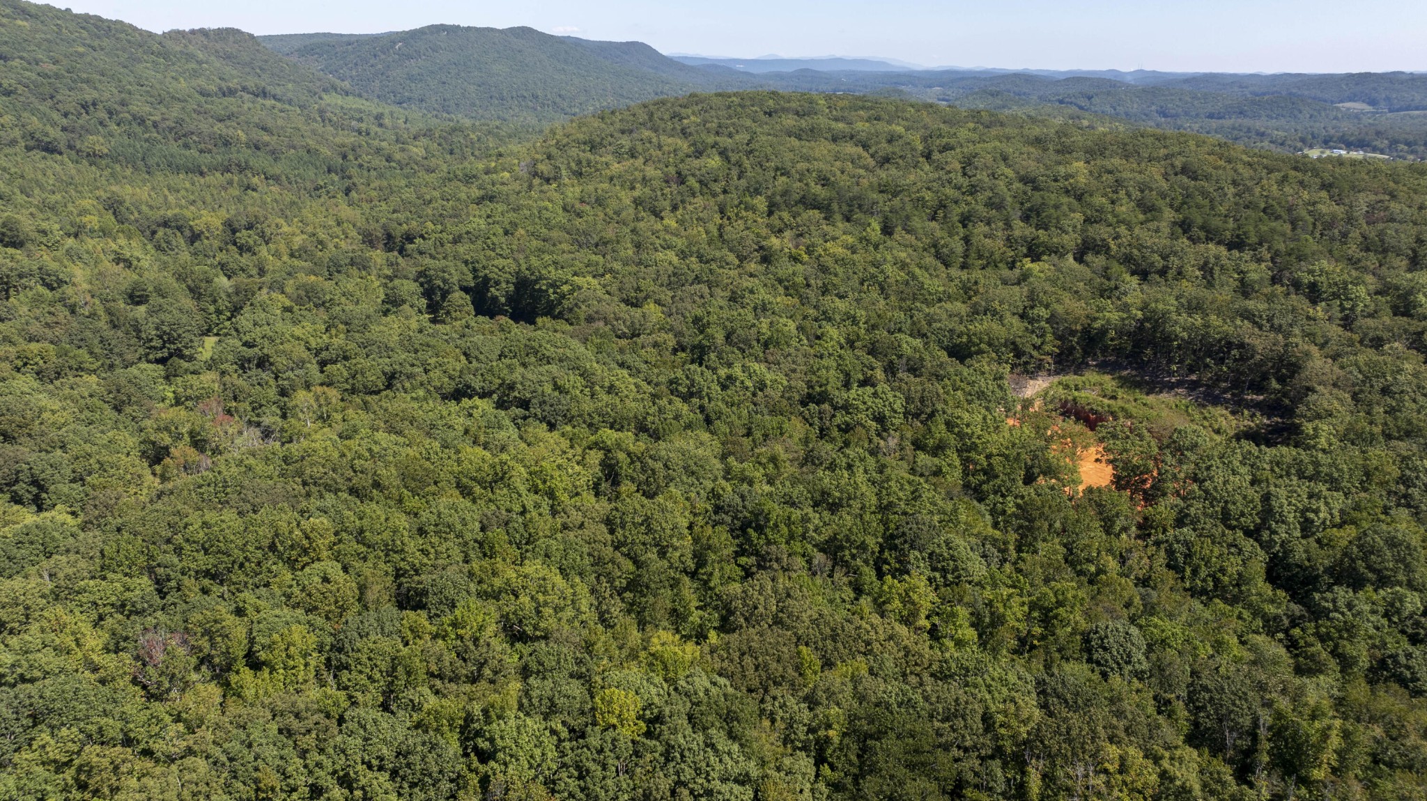 286 Clifton Cemetery Road Spring City, TN 37381 - Photo 10 of 19