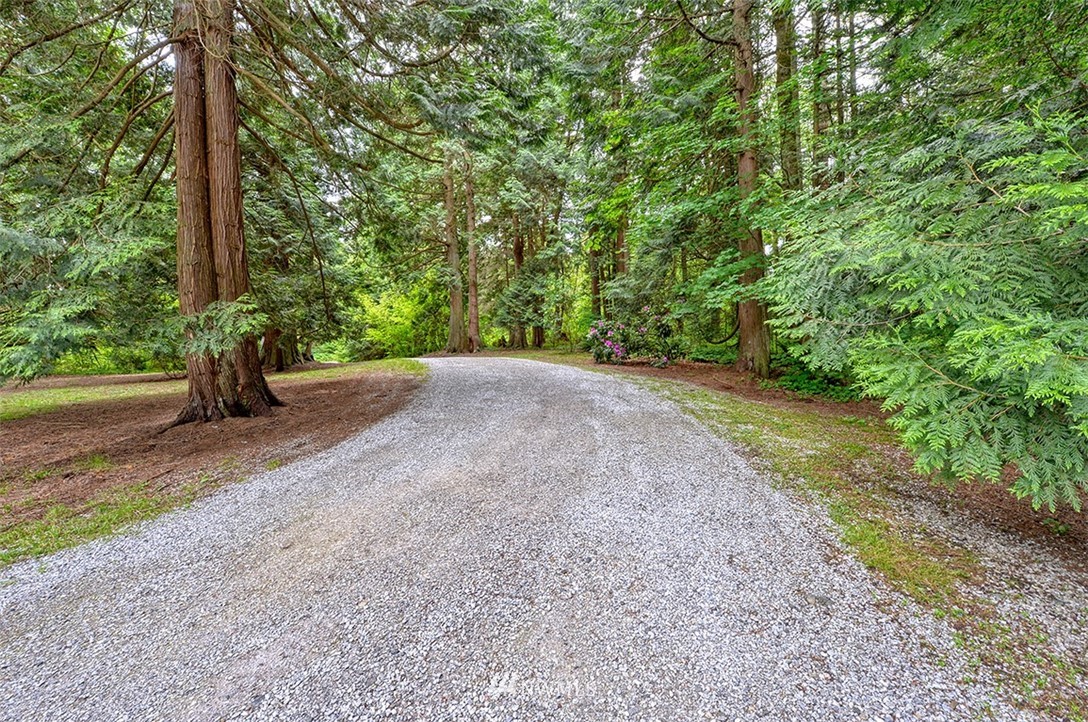 4192 West Road Blaine, WA 98230 - Photo 25 of 27 a view of a road with a tree