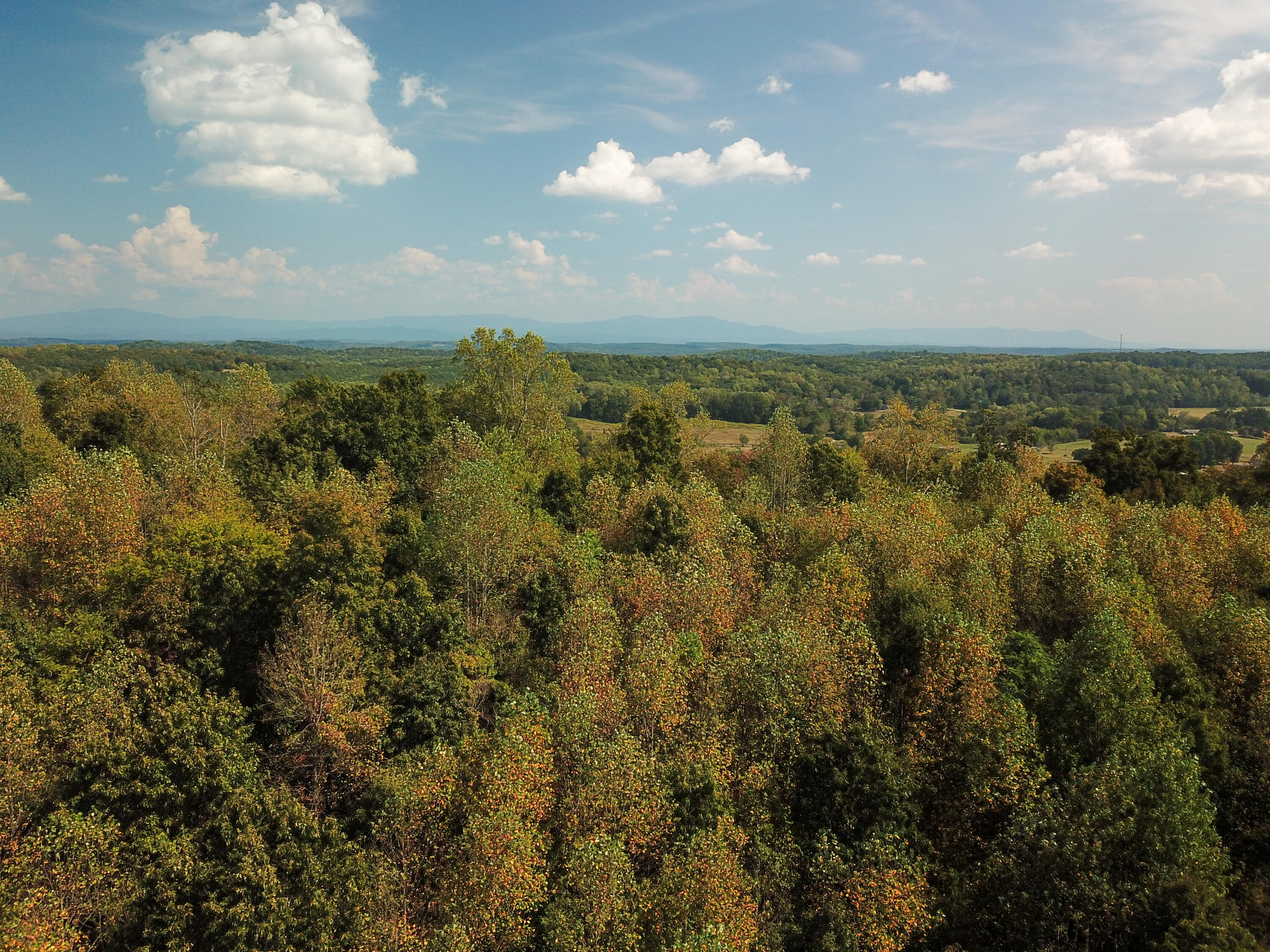 0 Lead Mine Valley Road Southwest Cleveland, TN 37311 - Photo 12 of 21 DJI_0056