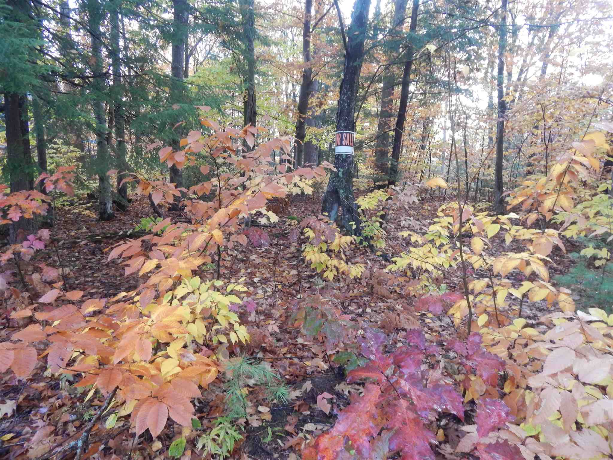 Lot 38 Fiske Road Northfield, NH 03276 - Photo 2 of 10