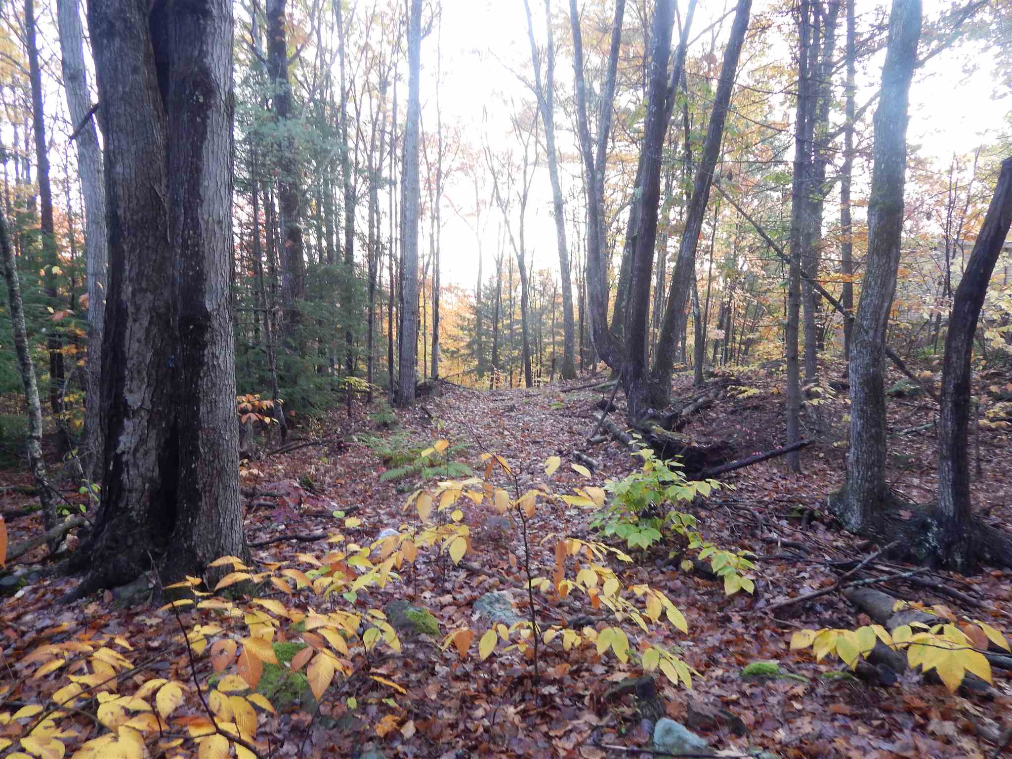 Lot 38 Fiske Road Northfield, NH 03276 - Photo 3 of 10