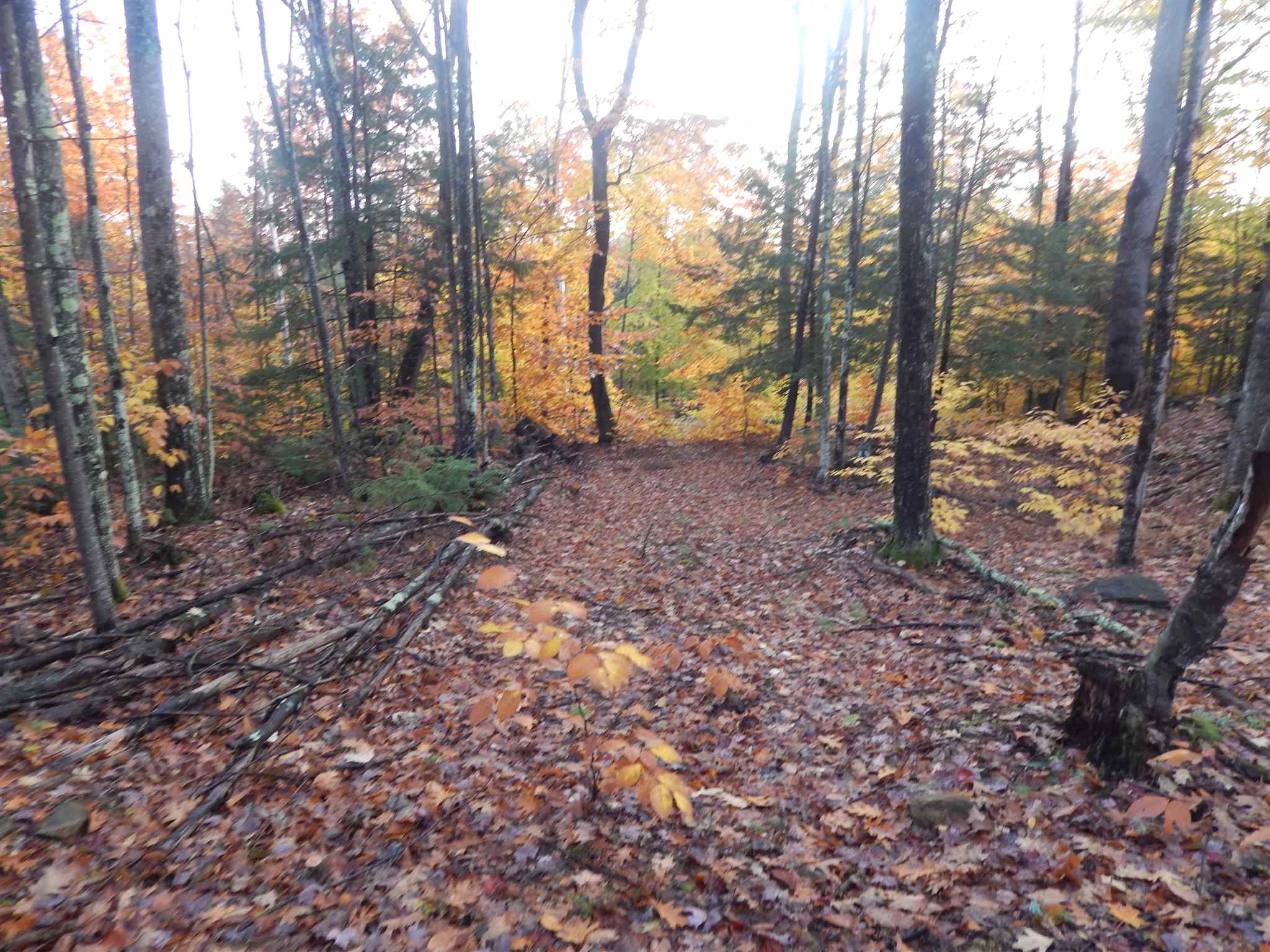 Lot 38 Fiske Road Northfield, NH 03276 - Photo 4 of 10