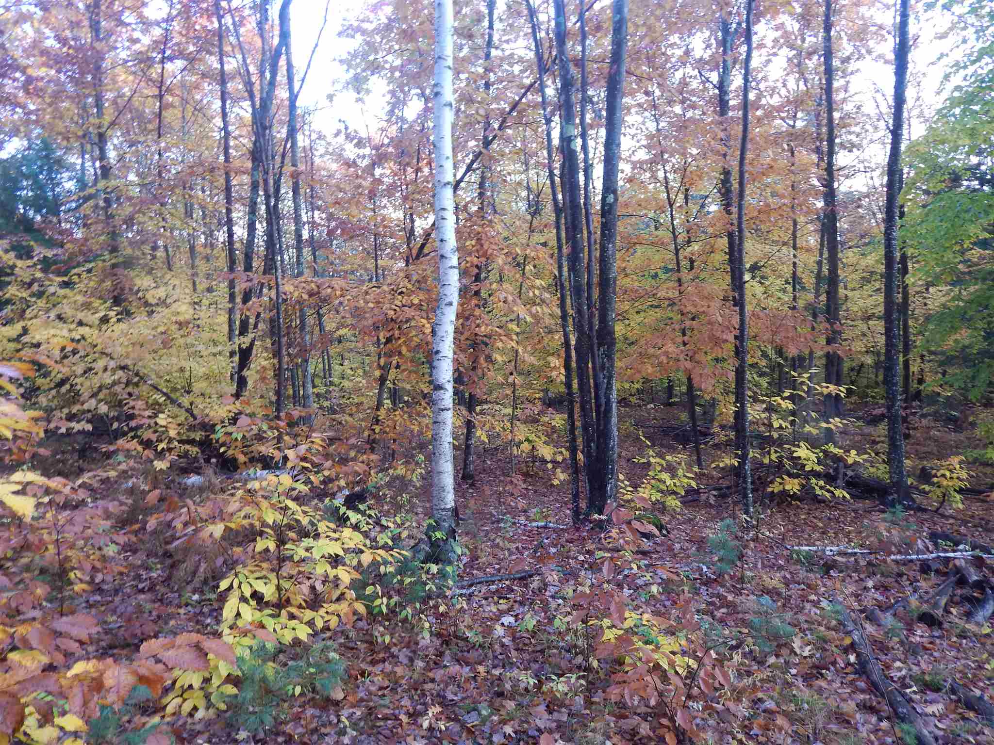 Lot 38 Fiske Road Northfield, NH 03276 - Photo 6 of 10