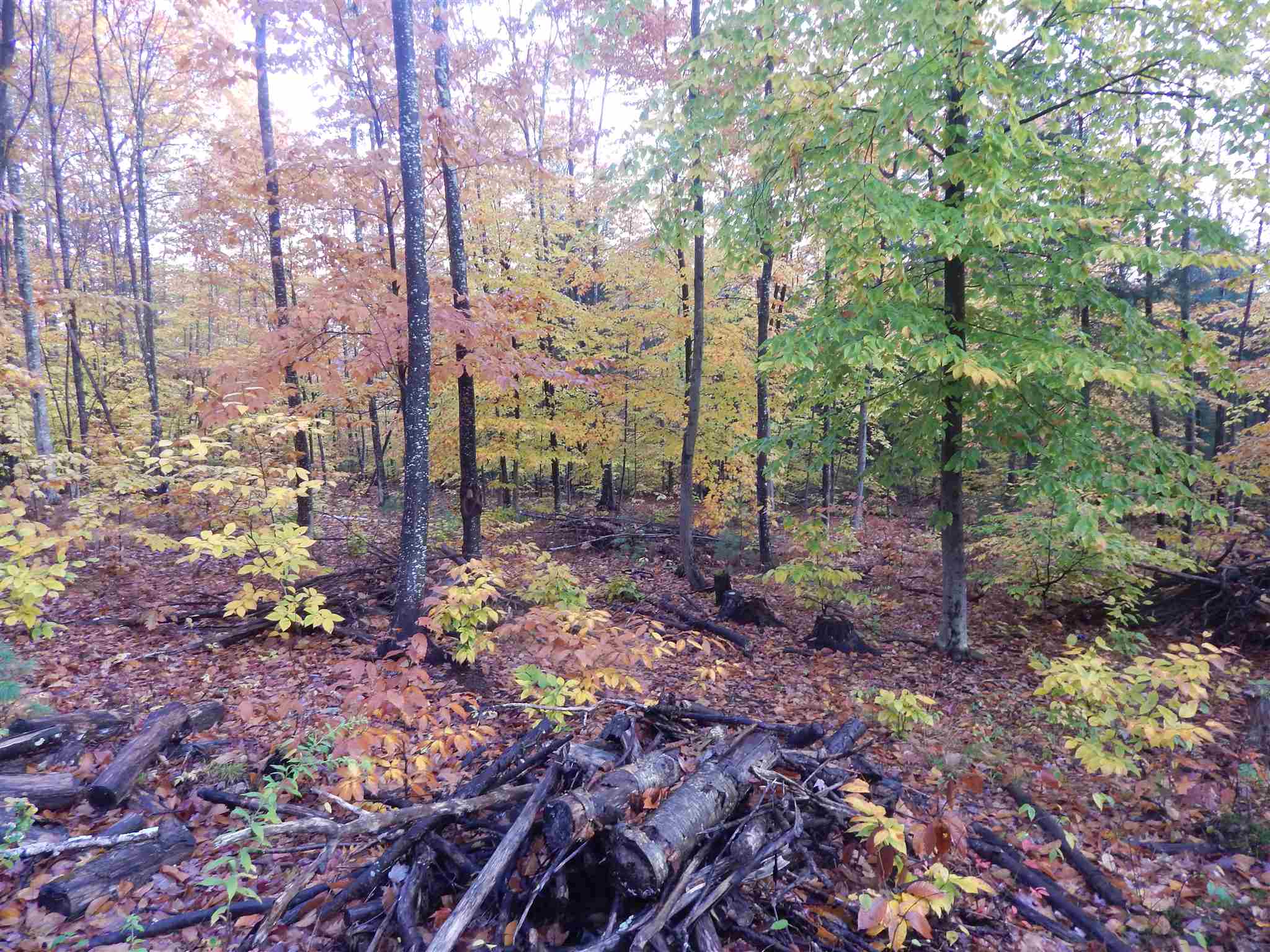Lot 38 Fiske Road Northfield, NH 03276 - Photo 7 of 10