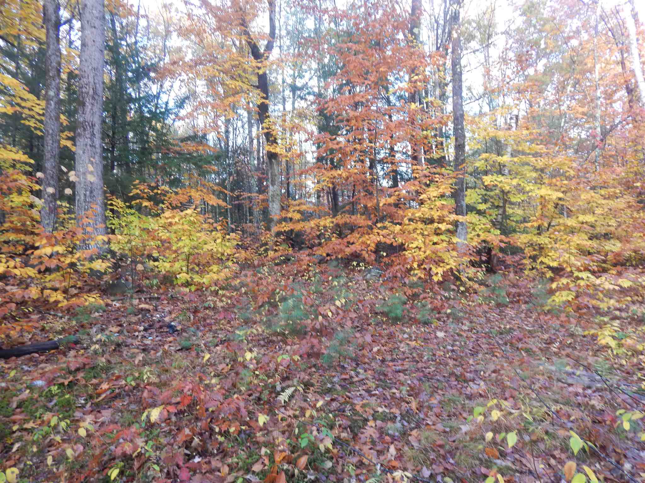 Lot 38 Fiske Road Northfield, NH 03276 - Photo 8 of 10