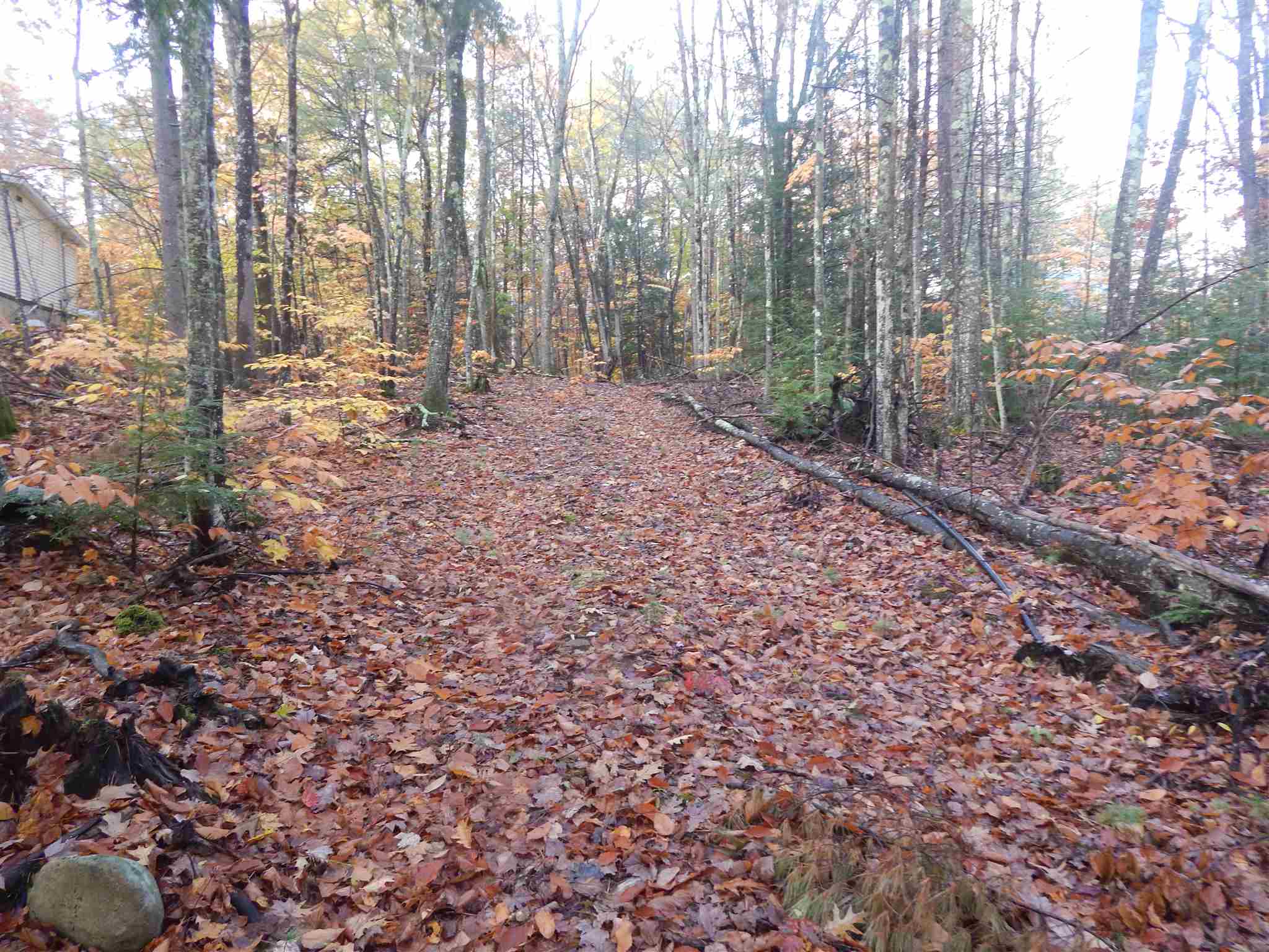 Lot 38 Fiske Road Northfield, NH 03276 - Photo 9 of 10