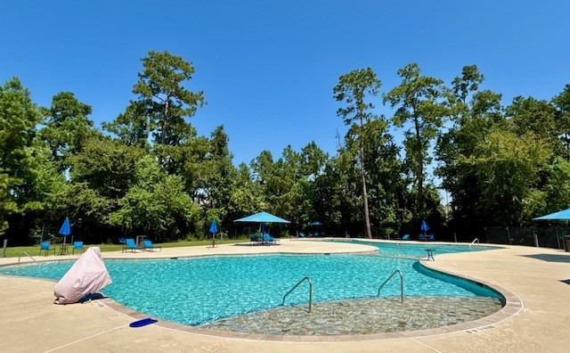 14388 Zion Gate Crossing Conroe, TX 77384 - Photo 33 of 33 a view of a garden with a slide