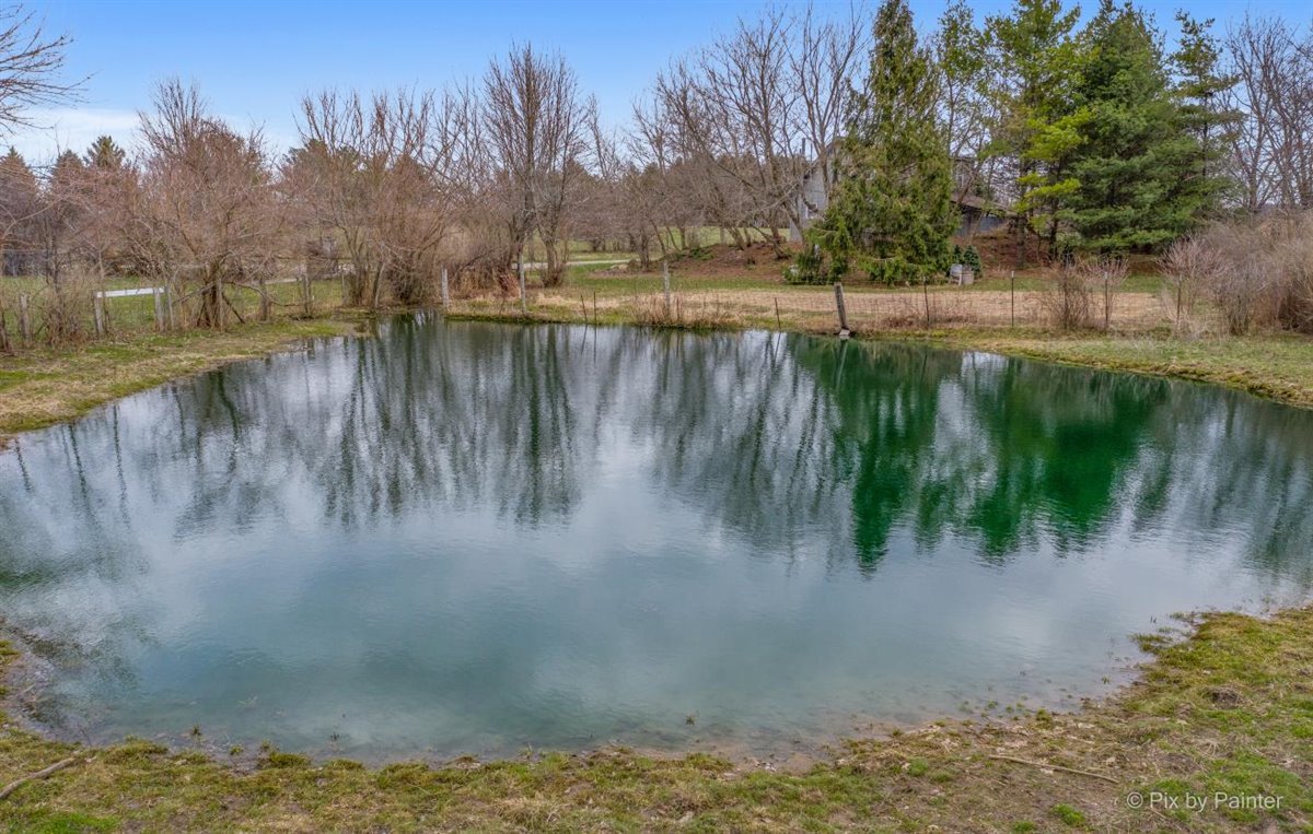 41W381 Lenz Road Elgin, IL 60124 - Photo 13 of 60