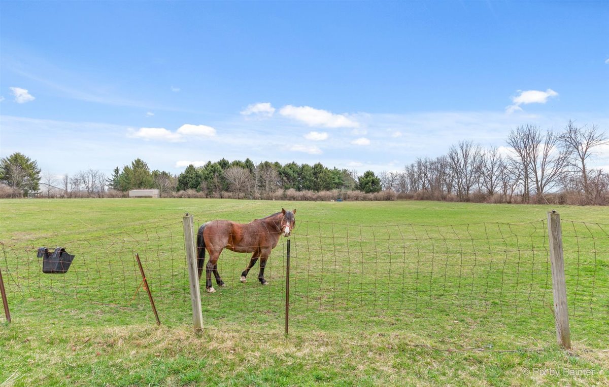 41W381 Lenz Road Elgin, IL 60124 - Photo 42 of 60