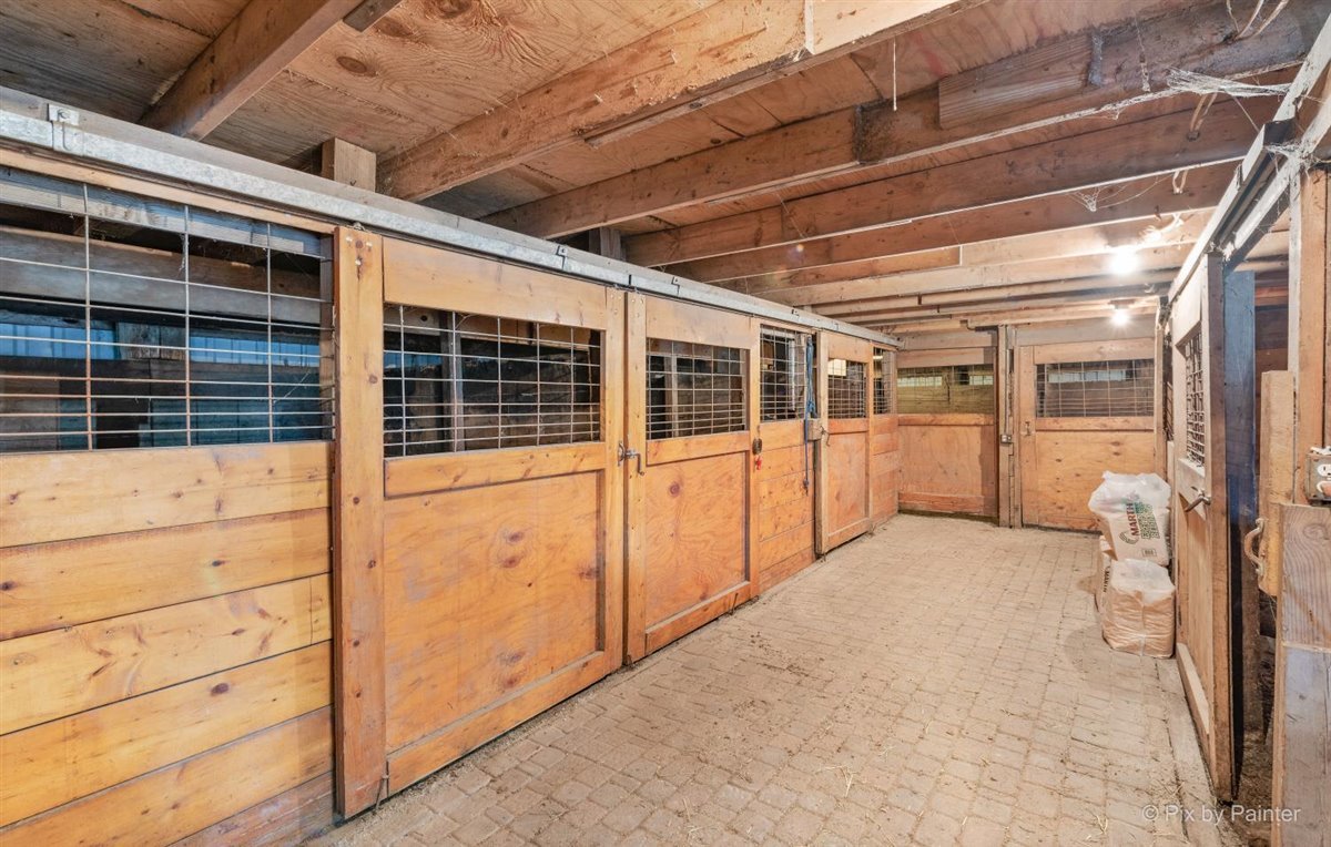 41W381 Lenz Road Elgin, IL 60124 - Photo 48 of 60