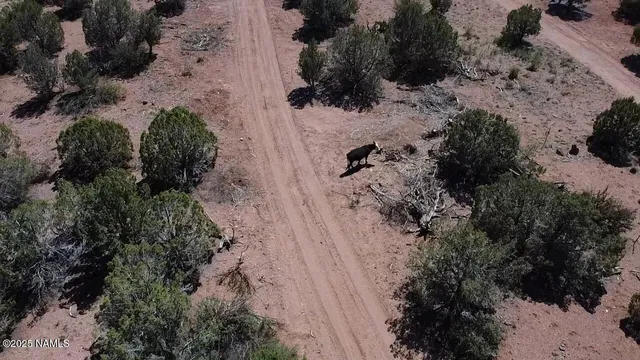 $315,000 | 2795 Poppy Road, Ash Fork, AZ 86320