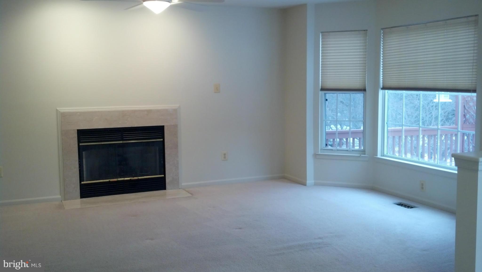 202 Ritterslea Court Owings Mills, MD 21117 - Photo 2 of 16 Family Rm w/Gas FP