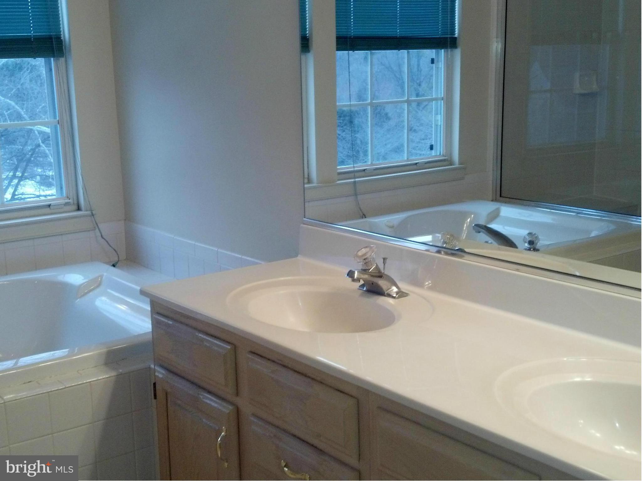 202 Ritterslea Court Owings Mills, MD 21117 - Photo 8 of 16 Spa Master Bath