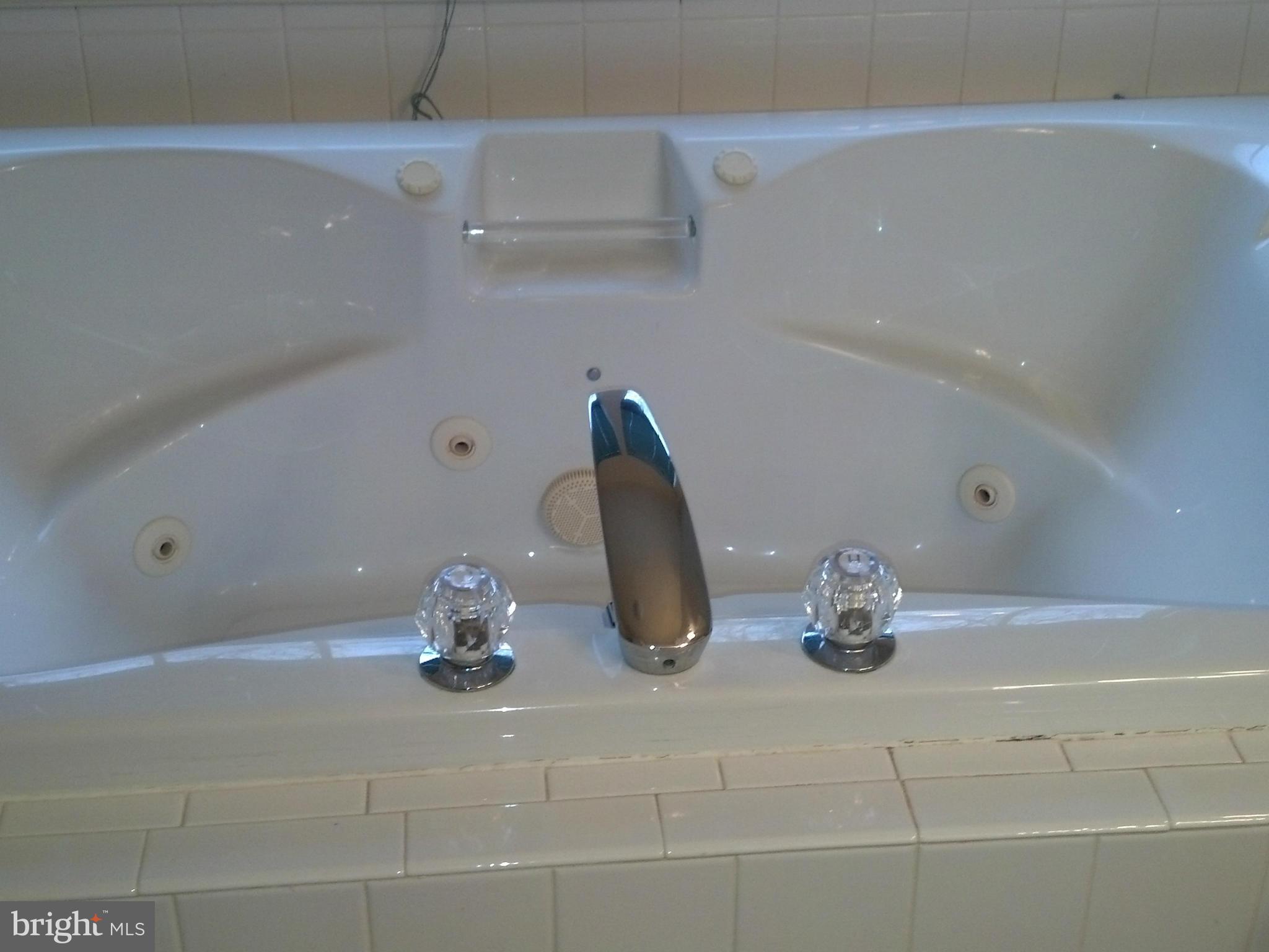 202 Ritterslea Court Owings Mills, MD 21117 - Photo 10 of 16 Large Jetted Tub