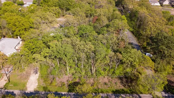 a view of a forest with a tree