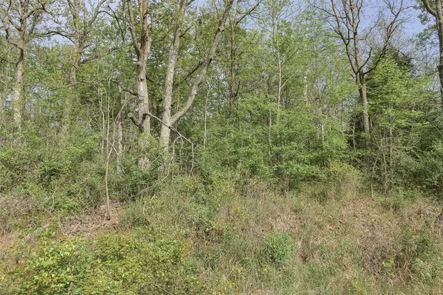 $18,000 | 1364 Utopia Road, Tool, TX 75143