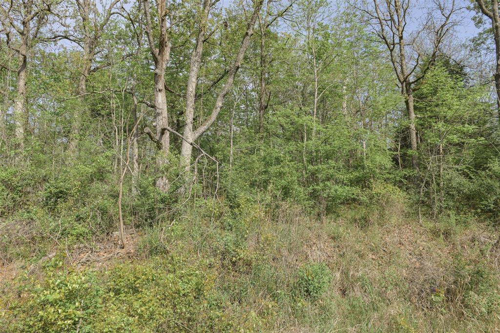 1364 Utopia Road Tool, TX 75143 - Photo 15 of 22 a view of a yard