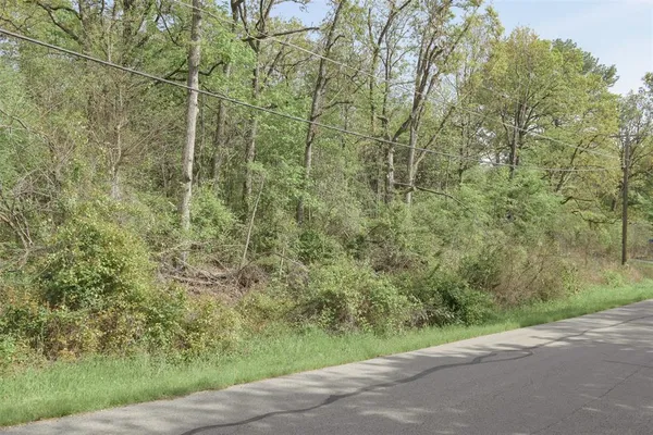 a view of a forest with a street