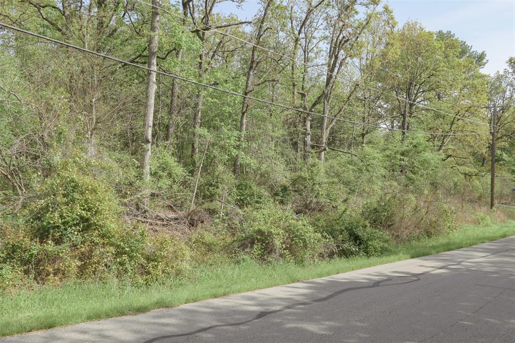 1364 Utopia Road Tool, TX 75143 - Photo 16 of 22 a view of a forest with a tree