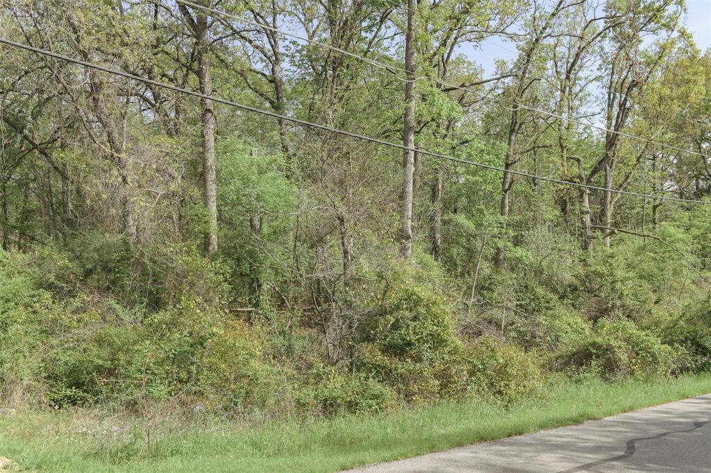 1364 Utopia Road Tool, TX 75143 - Photo 17 of 22 a view of a yard with large trees