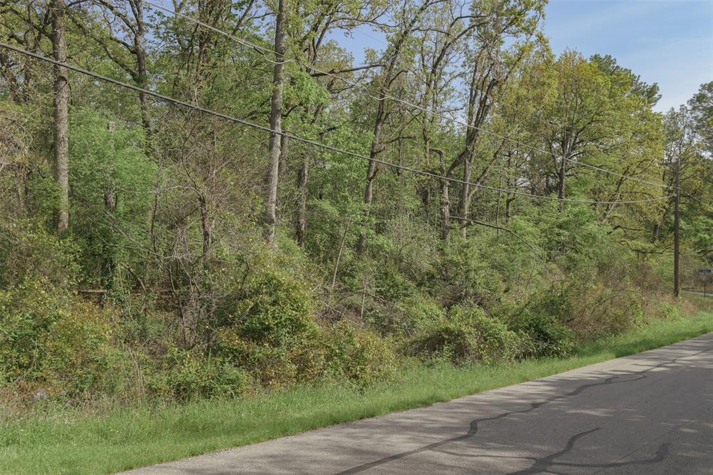 1364 Utopia Road Tool, TX 75143 - Photo 18 of 22 a view of a forest with a tree