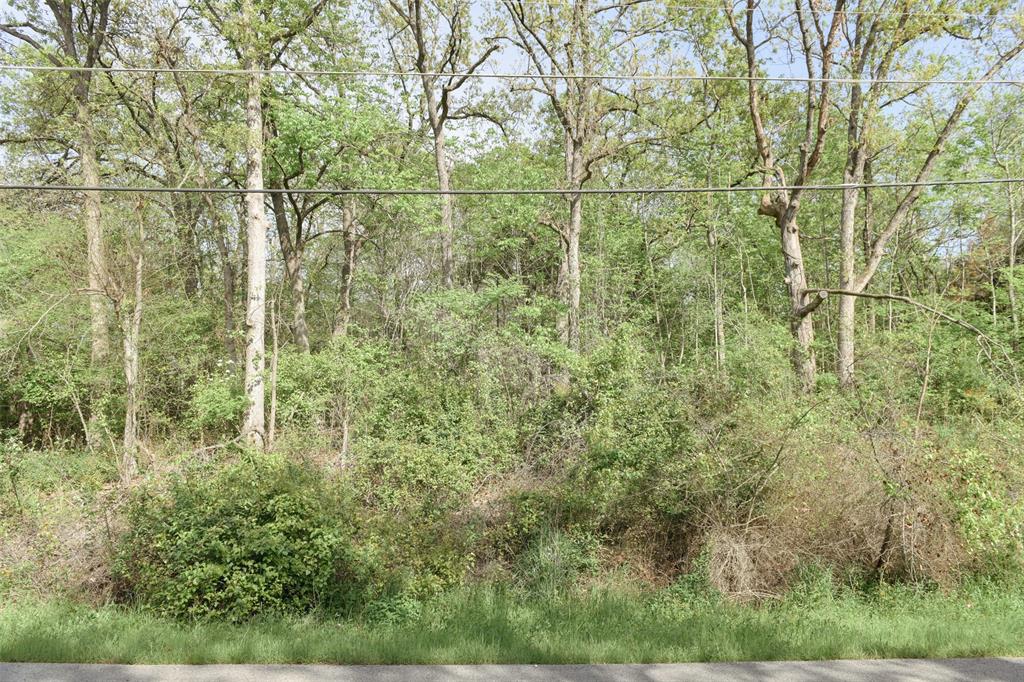 1364 Utopia Road Tool, TX 75143 - Photo 21 of 22 a view of a green field