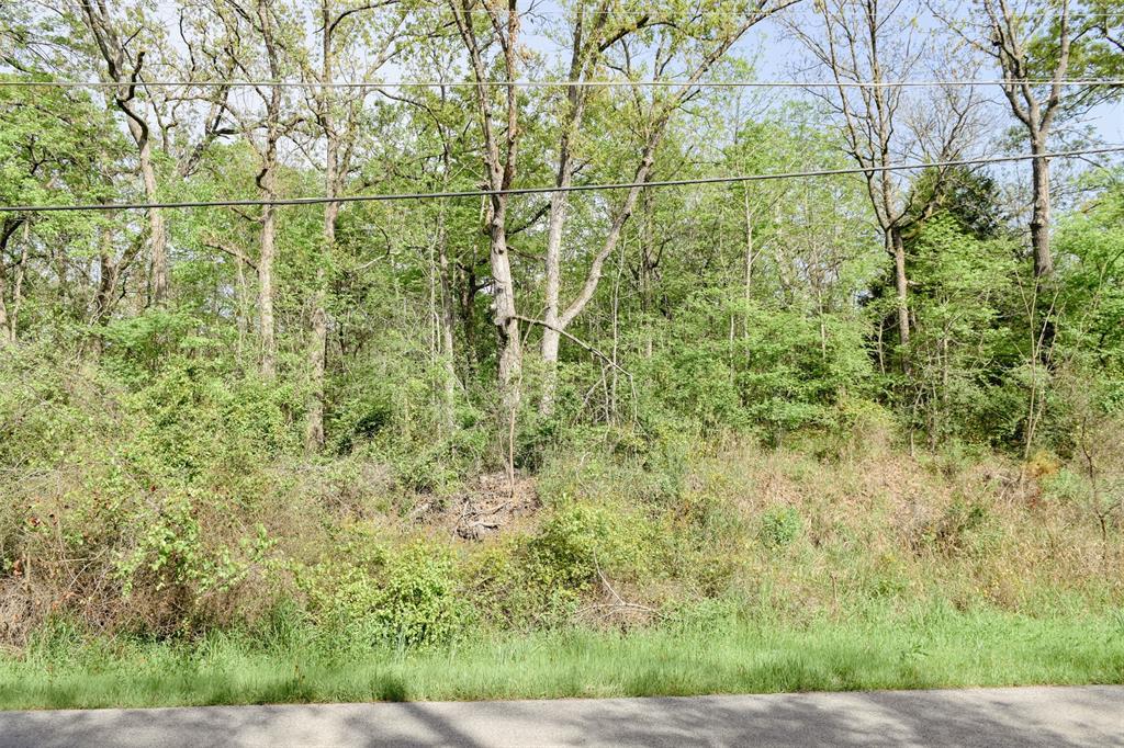 1364 Utopia Road Tool, TX 75143 - Photo 22 of 22 a view of a yard