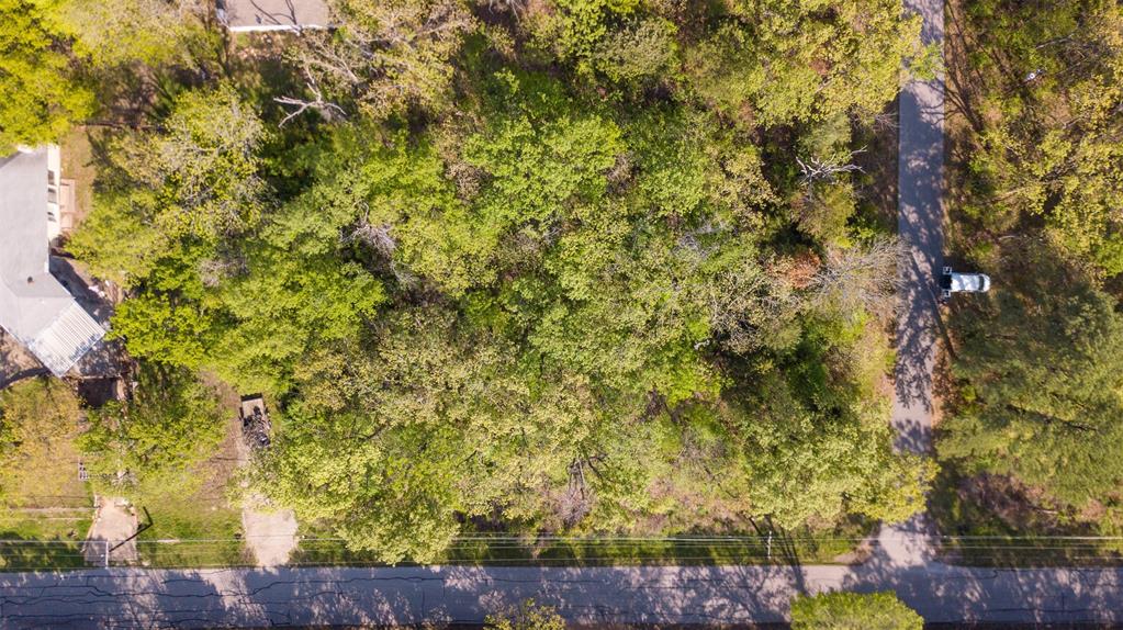 1364 Utopia Road Tool, TX 75143 - Photo 4 of 22 a view of a plants and trees