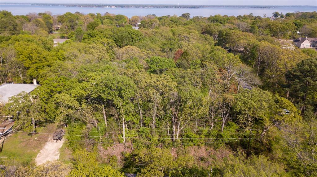1364 Utopia Road Tool, TX 75143 - Photo 6 of 22 a view of a forest with a street