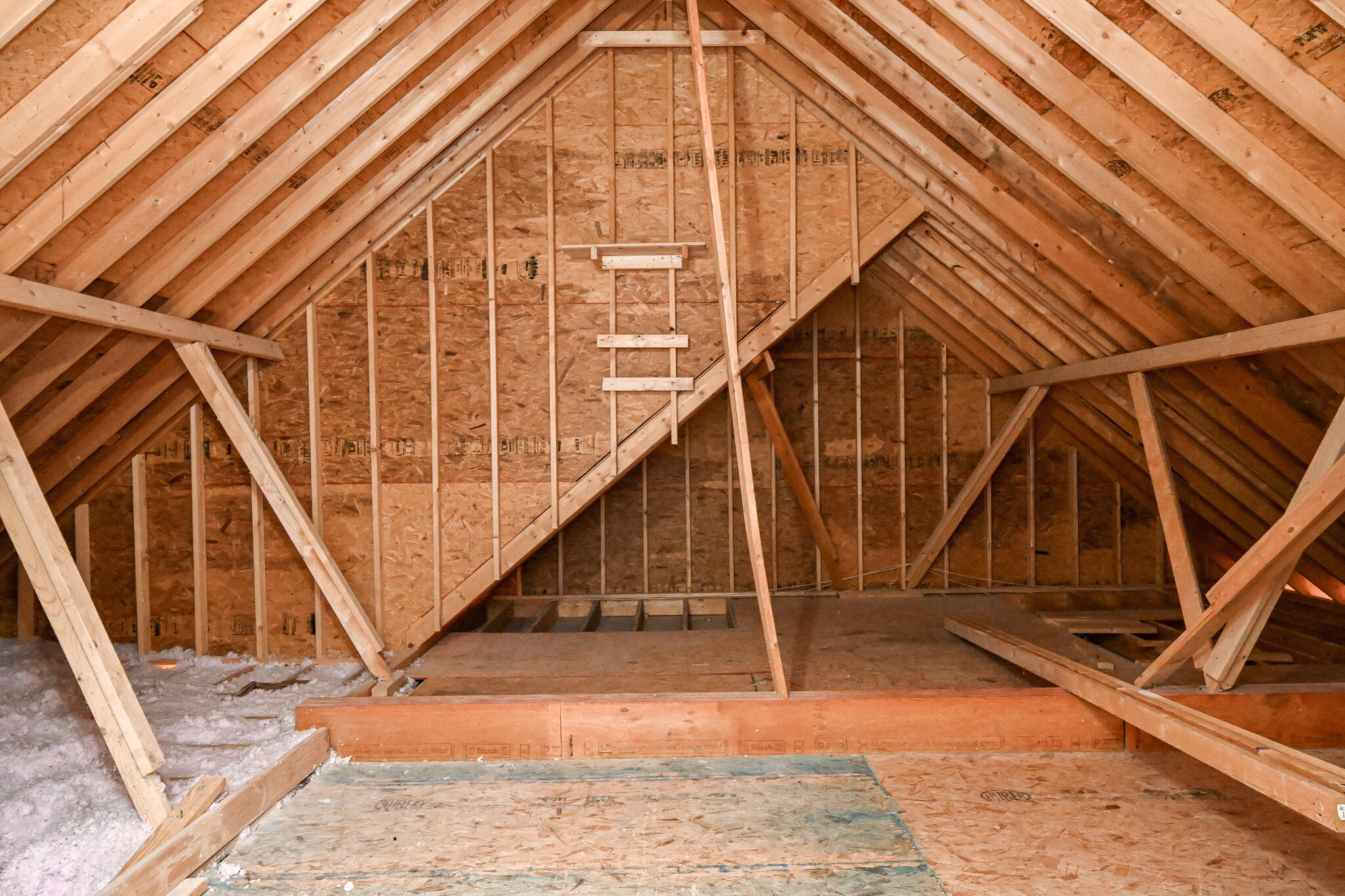 188 Winesap Way Southwest Cleveland, TN 37311 - Photo 42 of 48 Attic Storage