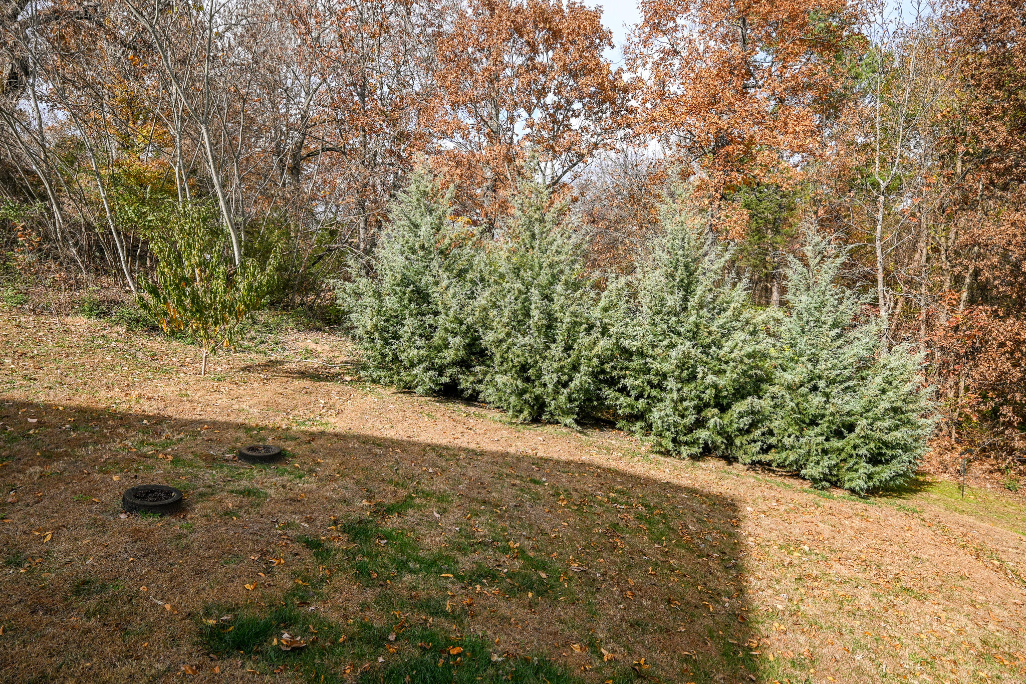 188 Winesap Way Southwest Cleveland, TN 37311 - Photo 45 of 48 Winesap