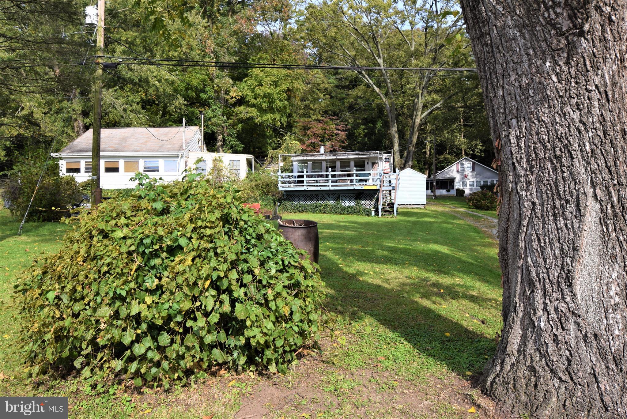468 Peach Bottom Road Delta, PA 17314 - Photo 5 of 47 Mature trees and landscaping