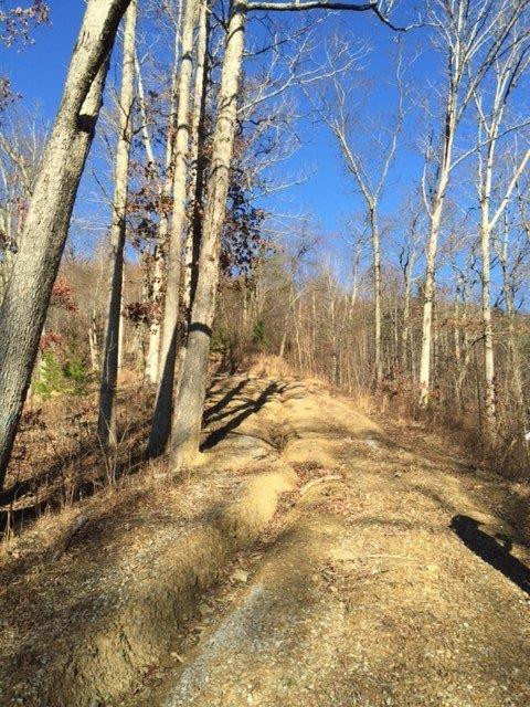4032 Pine Grove Road Olympia, KY 40358 - Photo 2 of 17 Photo 2