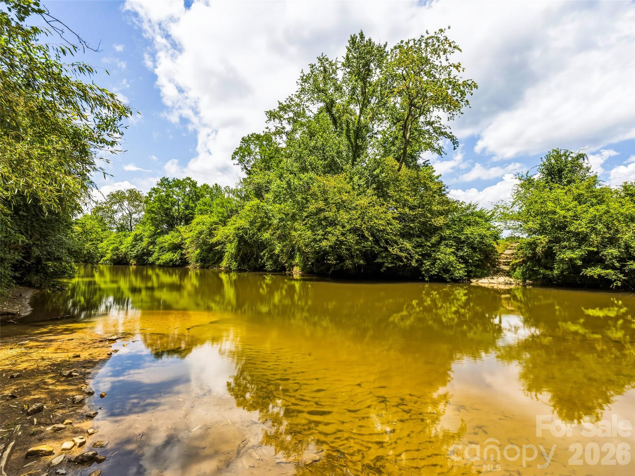 280 Walnut Hollow Road Brevard, NC 28712 - Photo 46 of 48
