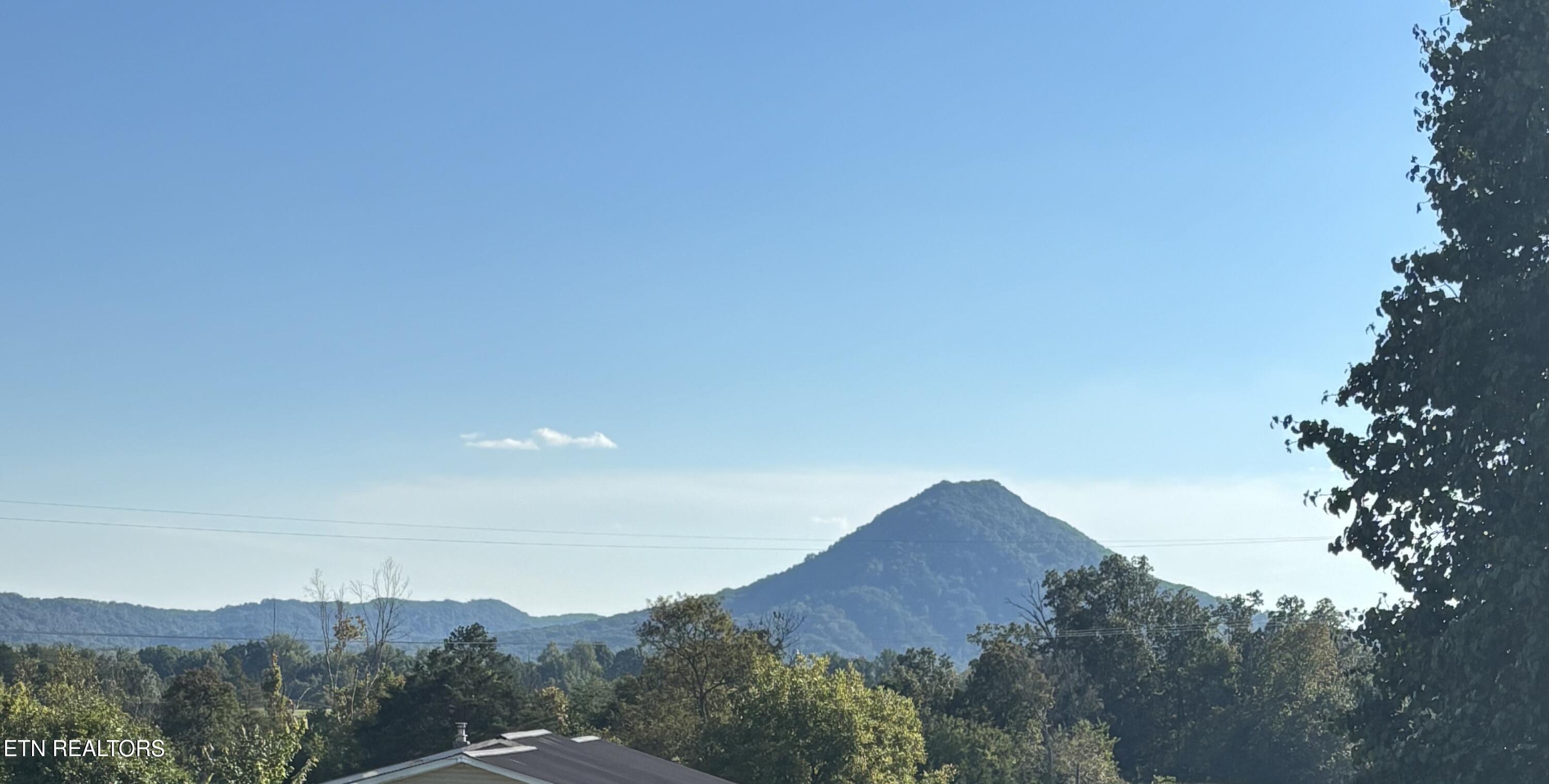 10728 Mountain Road Luttrell, TN 37779 - Photo 22 of 23 IMG_3923