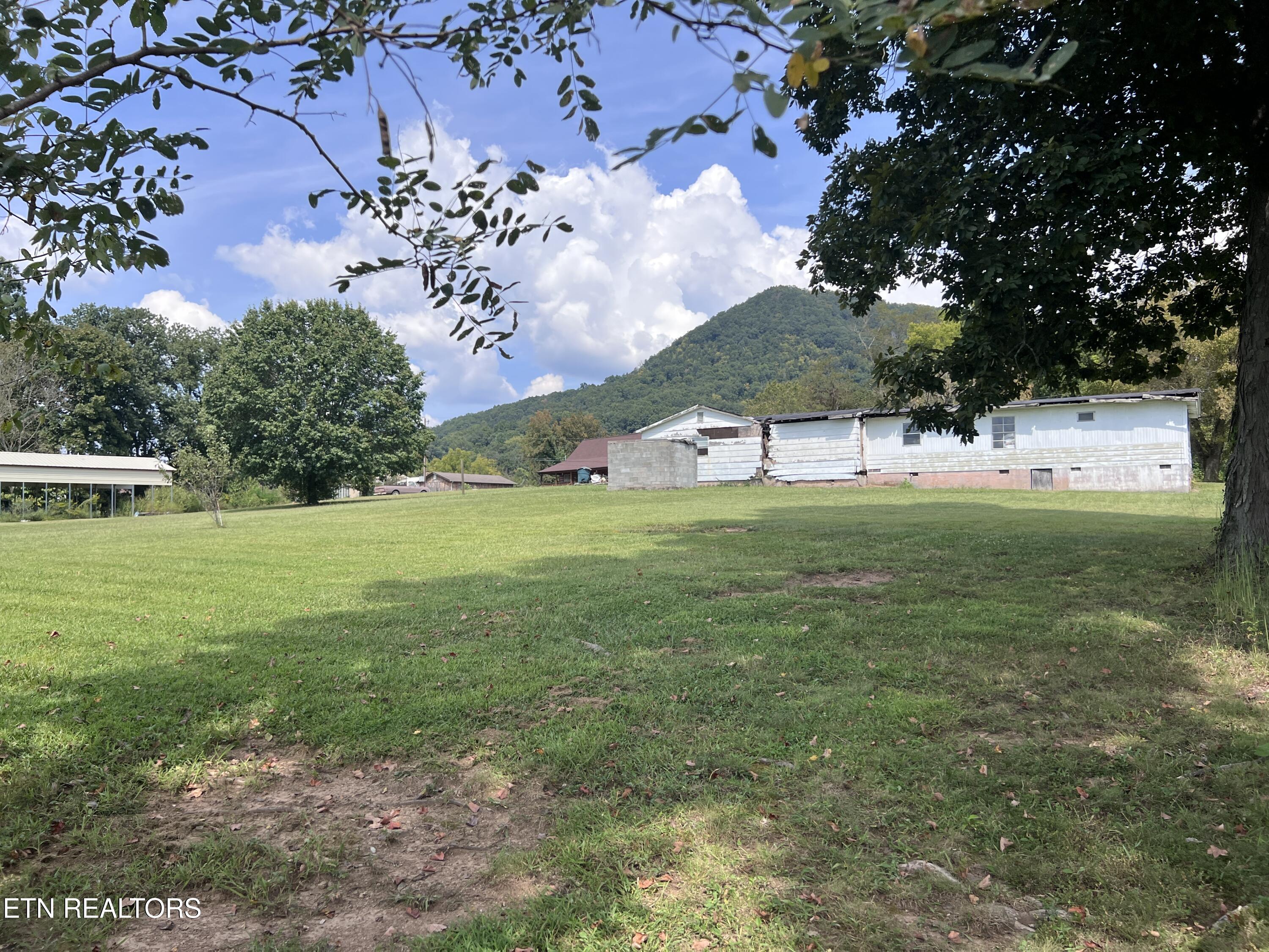 10728 Mountain Road Luttrell, TN 37779 - Photo 7 of 23 IMG_4398