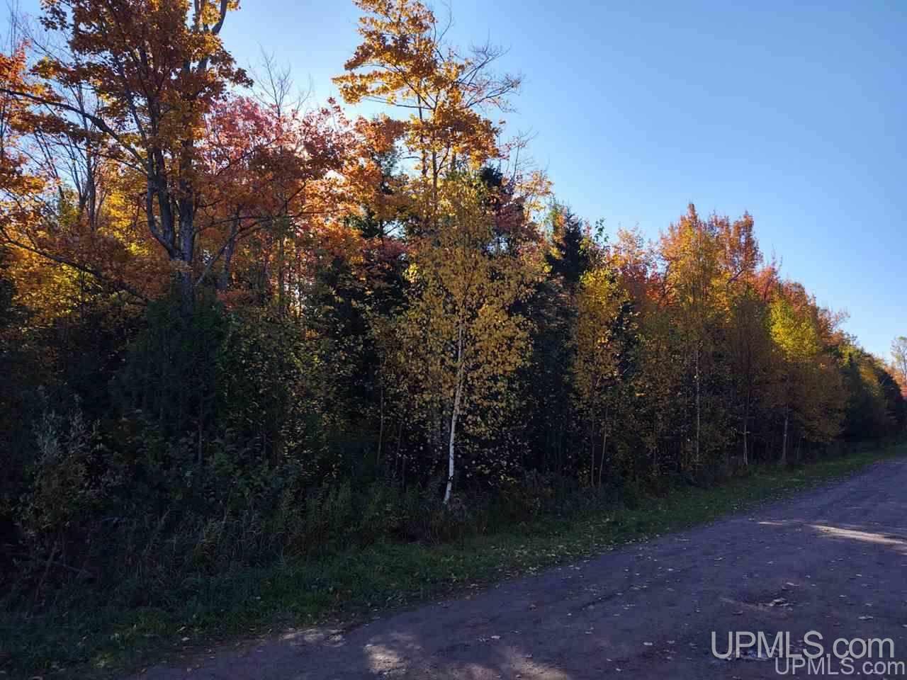 Tbd Four Mile Rock Road Ontonagon, MI 49953 - Photo 3 of 8