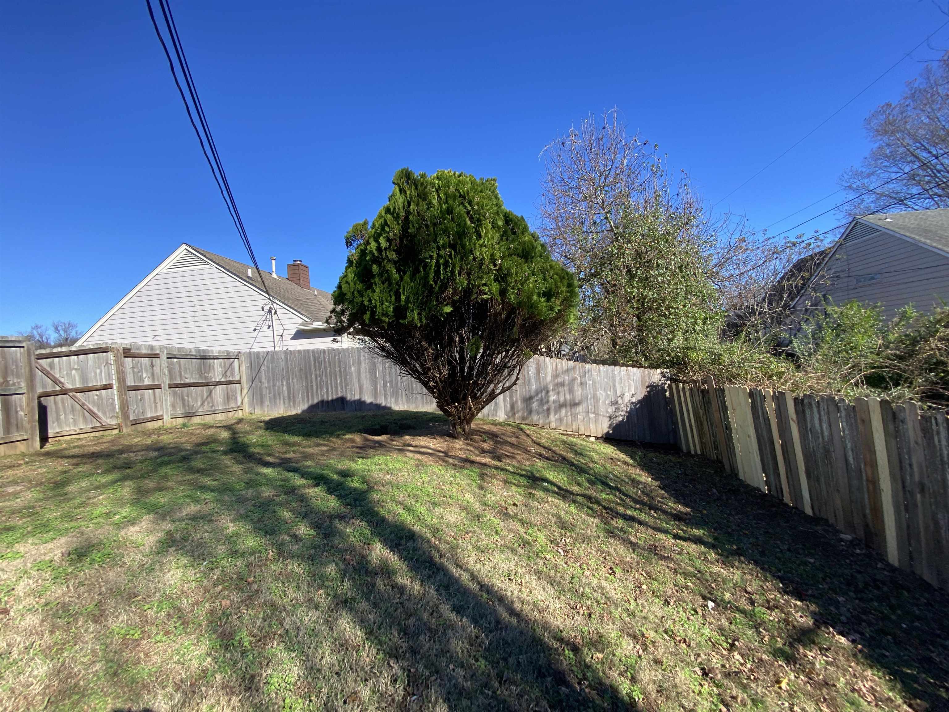 View of fenced backyard