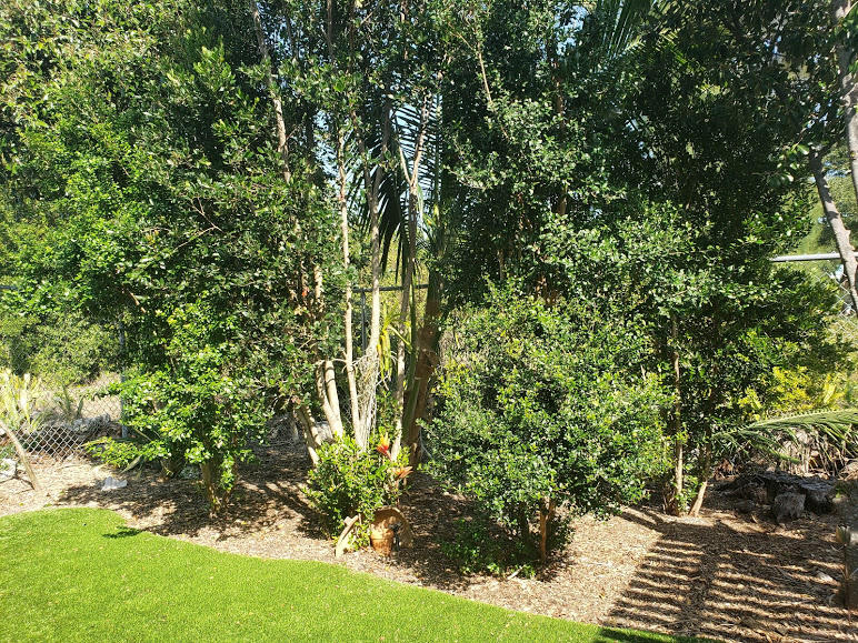 246 Cuba Road Tavernier, FL 33070 - Photo 49 of 53 Low Maint Landscaping