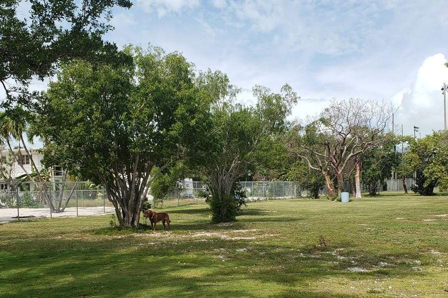 246 Cuba Road Tavernier, FL 33070 - Photo 52 of 53 HH Park Dog Friendly
