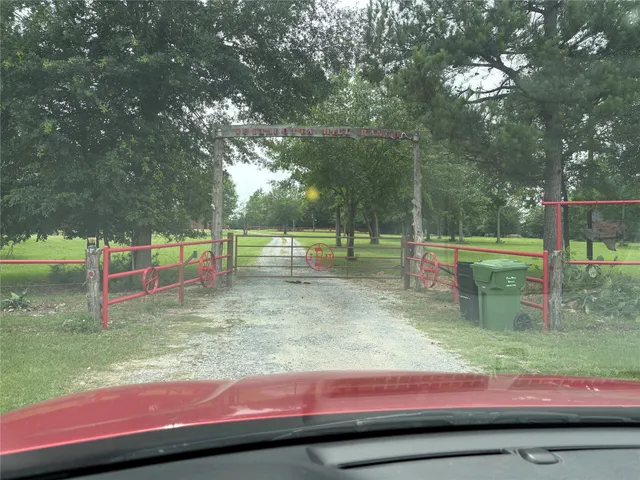 a view of a park with large trees