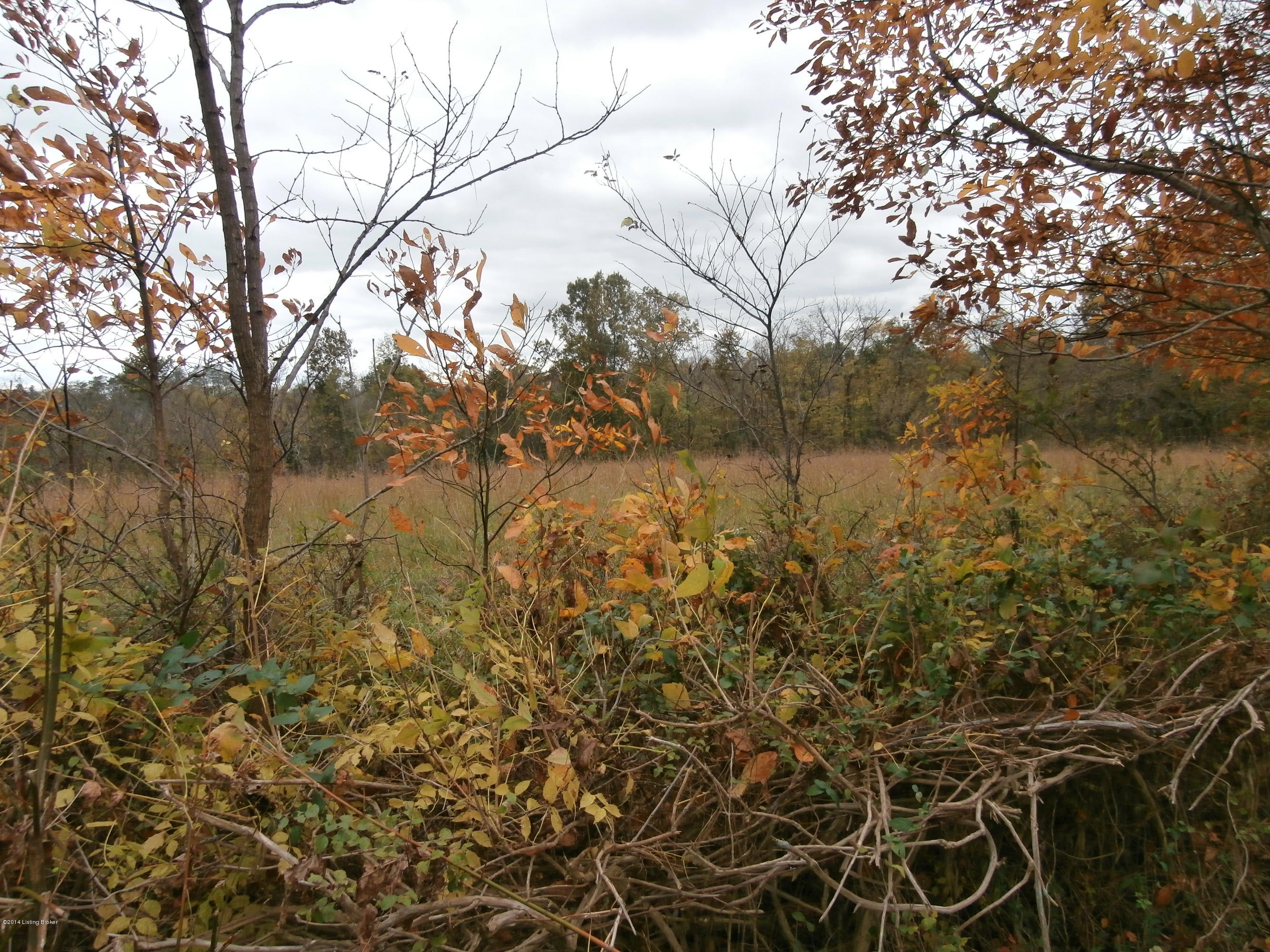 1701 Jacksonville Road Bagdad, KY 40003 - Photo 11 of 13 PA210053