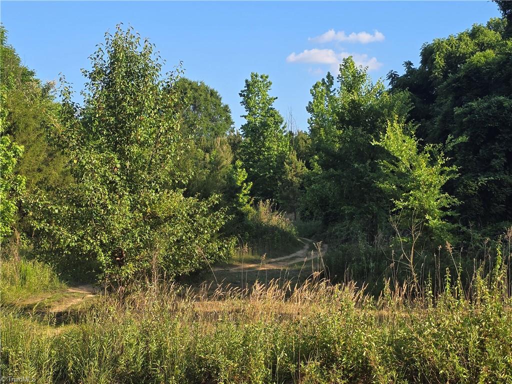 217 Cedar Ridge Road Randleman, NC 27317 - Photo 12 of 18 4 Wheeler Road
