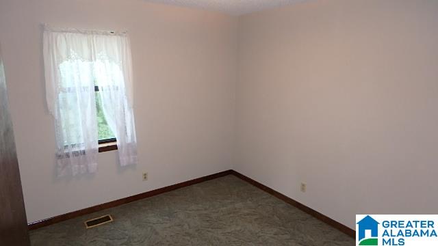 2811 Alpine Winterboro Road Alpine, AL 35014 - Photo 3 of 21